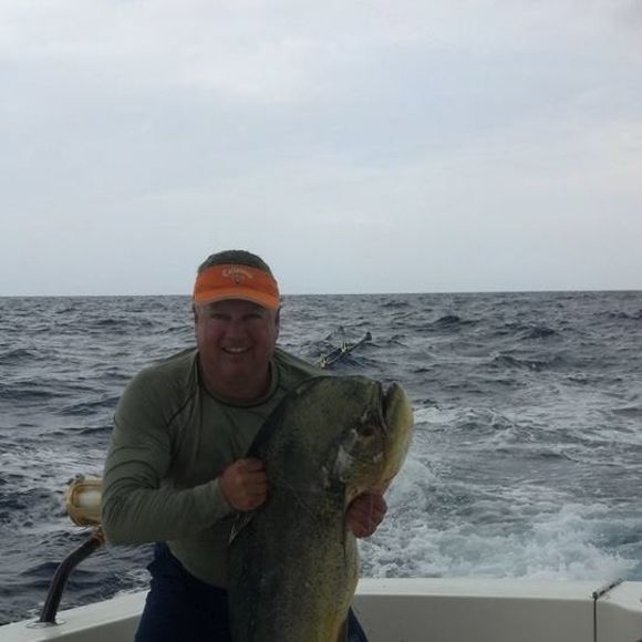 Meet your Posher, David - Picture 1 of 1